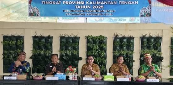 IMG_20250626_014305